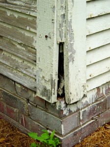 One indicator of a potential lead paint hazard is the visual appearance of scaling or "alligatoring".